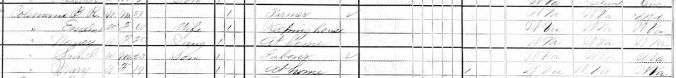 04-1880 Census-BR Coleman