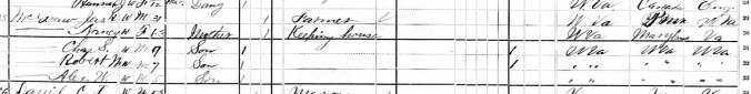 06-1880 Census-Nancy McGraw