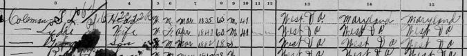 08-1900 Census-SLColemanJr