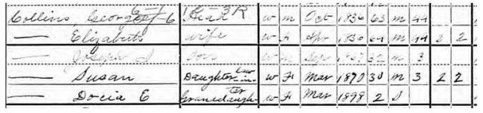 13-1900 Census-GCollins-Wood