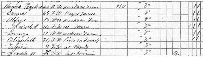 16-1870 Census-ECollins-Reynolds-Lincoln